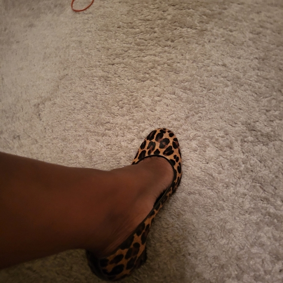 Tory Burch Leopard Wedge - Picture 11 of 11